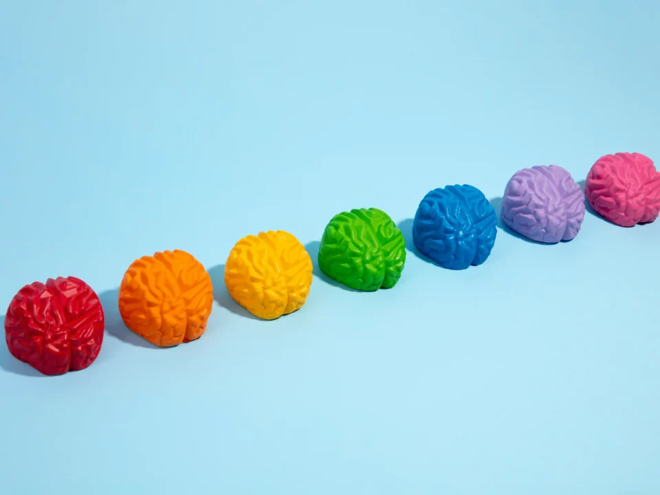 still life with human brain 2